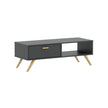 Coffee table with its built-in cupboard and right side open back niche on display.